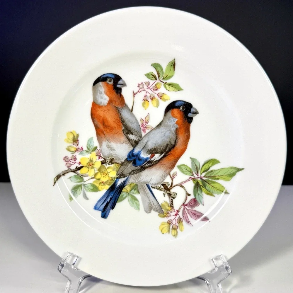 VTG Schumann Bavaria Song Bird Salad Plates Porcelain Arzberg Germany Set of 4
